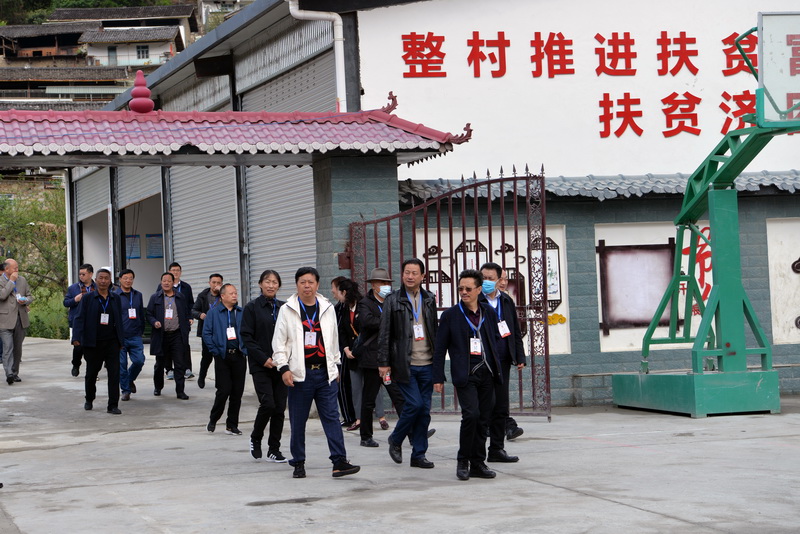委员视察乡村振兴（网）.jpg