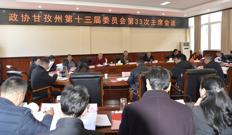第33次主席会2.jpg