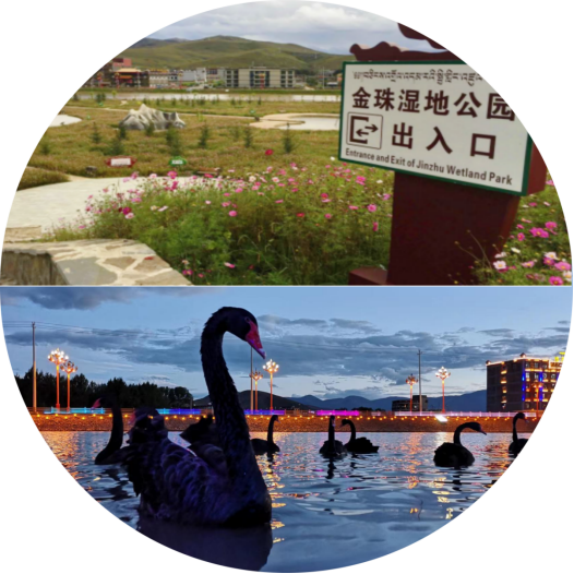 1684232062434042903.png 稻城3.png